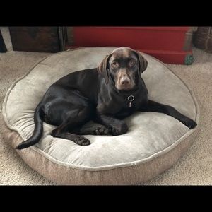 Meet your Posher, Esther